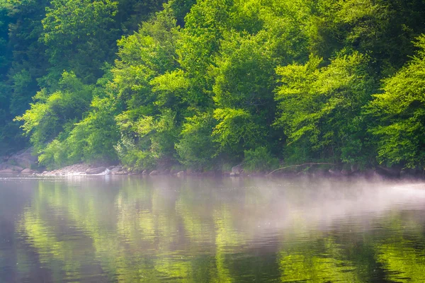 Mgła nad rzeką lehigh lehigh wąwóz park stanowy Pensylwania — Zdjęcie stockowe