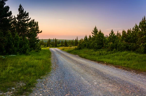 Forest Road 75 at sunset, in Dolly Sods Wilderness, Monongahela
