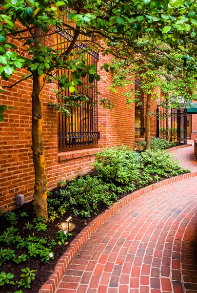 Jardín a lo largo de una pasarela de ladrillo en el centro de Lancaster, Pennsylvania — Foto de Stock