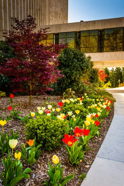 Jardín y camino fuera del Templo Mormón de Washington DC en Kensi — Foto de Stock