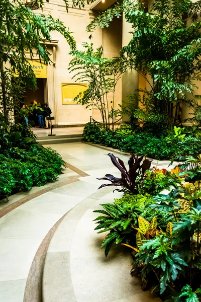 Garden in the National Gallery of Art, Washington, DC. — Stock Photo, Image