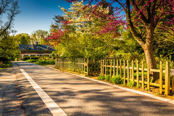Gardens along a path through Cylburn Arboretum, Baltimore, Maryl — Stock Photo, Image