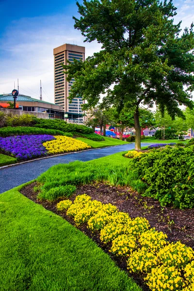 Trädgårdar och world trade center i inre hamnen i baltim — Stockfoto