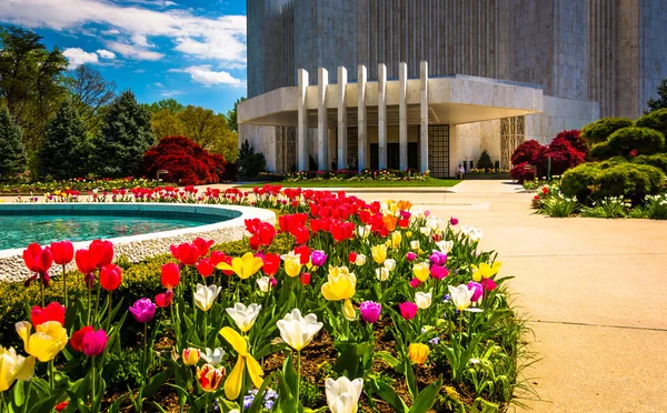 Jardins em frente ao Templo Mórmon de Washington DC em Kensingto — Fotografia de Stock