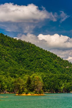 watauga Gölü, cherokee Ulusal Ormanı, tennessee Adası. 