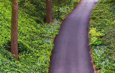 longwood bahçeleri, pennsylvani bir orman yolunda aşağı bakıyor