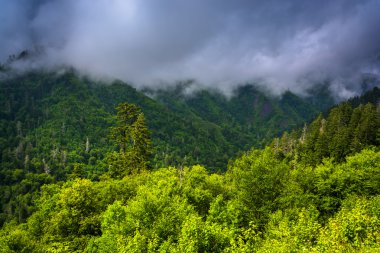 Low clouds over mountains, seen from Newfound Gap Road in Great  clipart