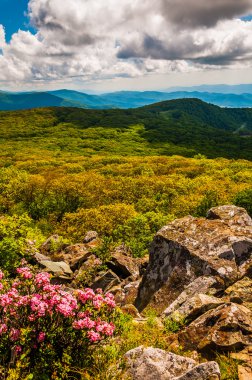 Dag defne ve taşlı erkek mounta üzerinde görüş-in appalachians
