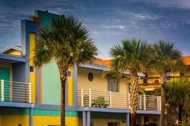 Palm trees and colorful hotel in Vilano Beach, Florida.  clipart
