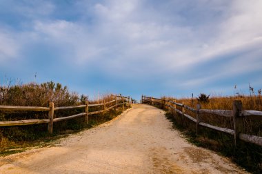 yol üzerine Beach kumulları, cape may, new jersey. 
