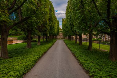 longwood bahçeleri, pennsylvania ağaçların üzerinden yol. 