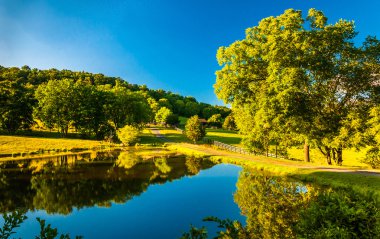 gölet ve driveway için bir grubu shenandoah Vadisi, virginia. 