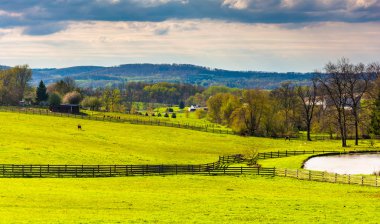 gölet ve alanları kırsal york County, pennsylvania bir çiftlikte. 