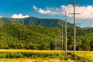 Power lines and view of the Blue Ridge Mountains in the Shenando clipart