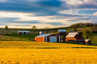 kırmızı kırsal york County, pennsylvania bir çiftlikte kulübeler. 