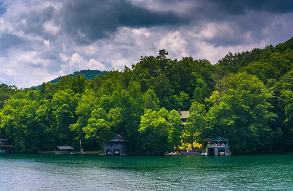 Hus längs stranden av sjön burton, i Georgien. — Stockfoto