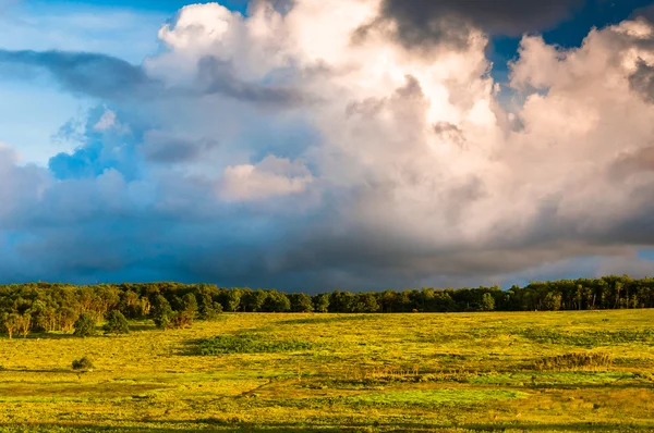 Ciel incroyable en soirée sur Big Meadows, à Shenandoah National — Photo