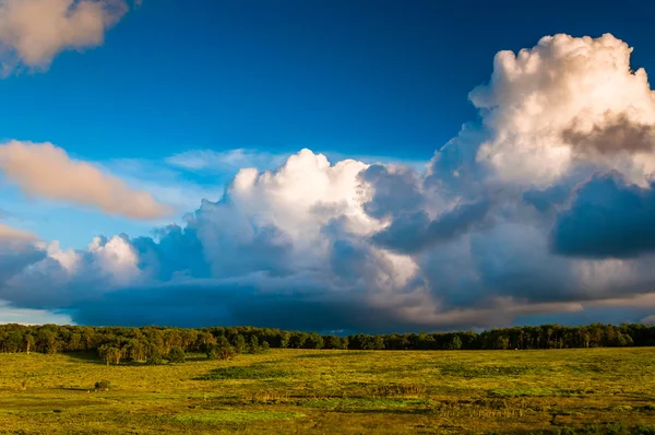 셰 넌 도어 국가에 큰 풀밭에 놀라운 저녁 하늘 — Stok fotoğraf