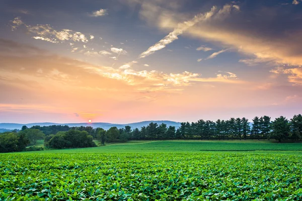 Increíble puesta de sol cielo sobre las colinas de Piegon y campos de cultivo, nea —  Fotos de Stock