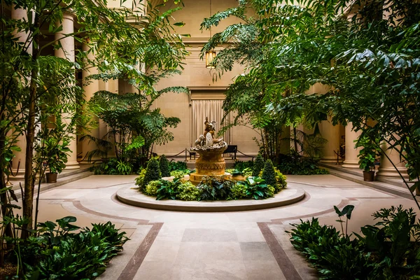 Indoor garden area in the National Gallery of Art in Washington, — Stock Photo, Image