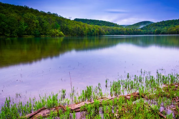 Langjährige Belichtung des Tannen-Reservoirs im Staatswald von Michaux — Stockfoto