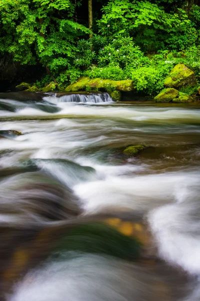 Larga exposición de cascadas en Raven Fork, cerca de Cherokee, North Ca — Foto de Stock