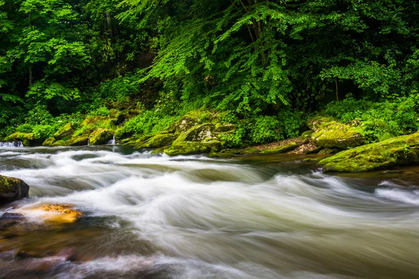 Long exposure of cascades on Raven Fork, near Cherokee, North Ca — Stock Photo, Image