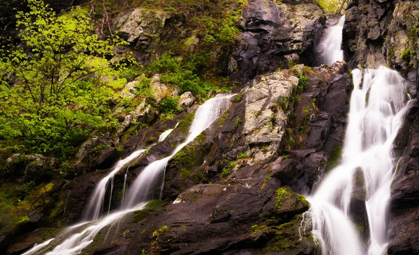 Keresi fel Dél-river falls, shenandoah nemzeti park, virginia — Stock Fotó