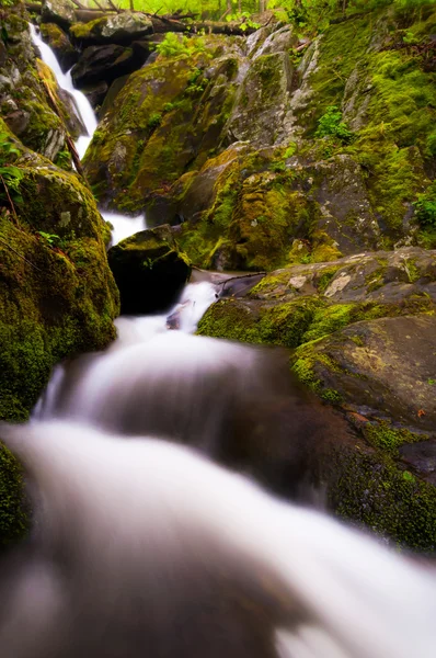 Lower Dark Hollow Falls, nel Parco Nazionale di Shenandoah, Virginia . — Foto Stock