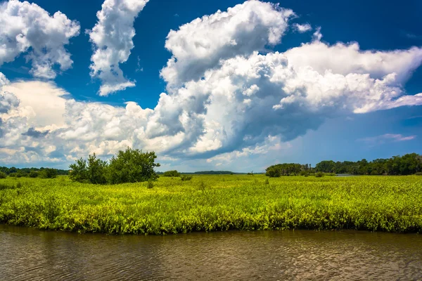 Marsh area of the Tomoka River, at Tomoka State Park, Florida. — Stock Photo, Image