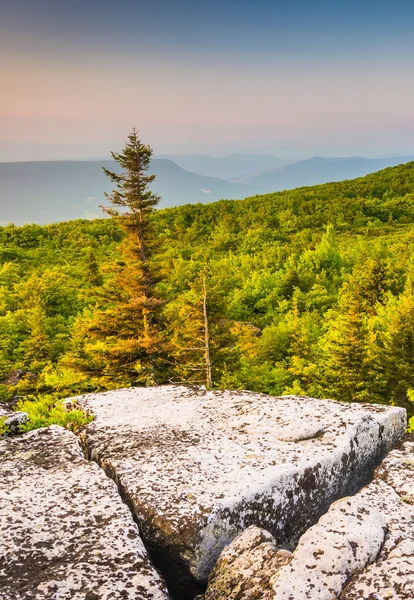Morning view from Bear Rocks Preserve, in Dolly  Sods Wilderness — Stock Photo, Image