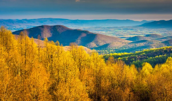 Wgląd ranka od gród jazdy Parku Narodowego shenandoah, vir — Zdjęcie stockowe