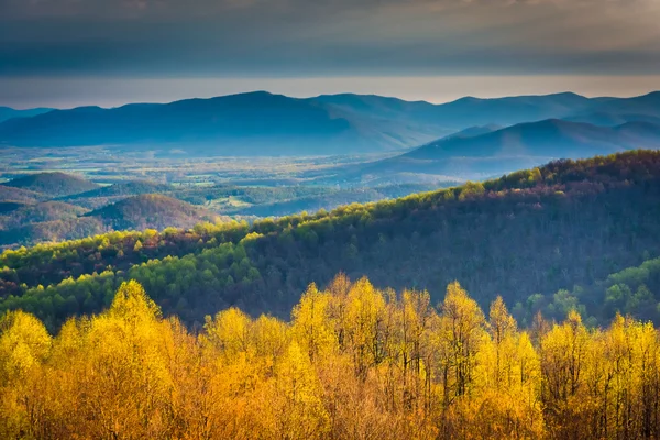 Nézd meg reggel skyline meghajtó shenandoah nemzeti parkban, vir — Stock Fotó