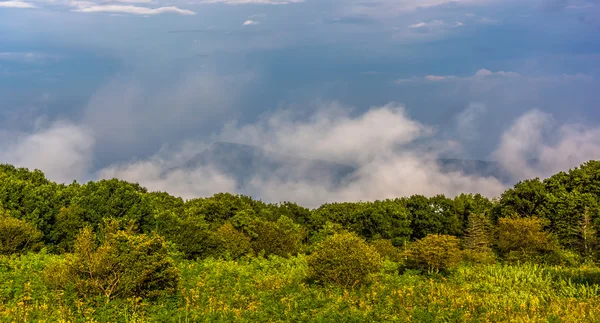Стародавня гора ганчірку в хмарах, видно з skyline диска в shenandoa — стокове фото
