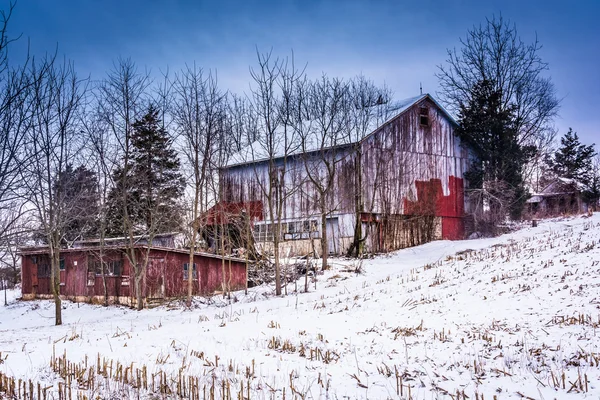 Antiguo granero y un campo cubierto de nieve en el condado rural de York, Pennsylv — Foto de Stock