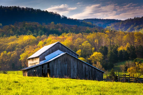 Old barn and spring colors in the Shenandoah Valley, Virginia. — Stock Photo, Image