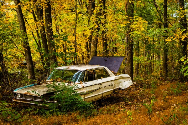 Old car and autumn color in a junkyard. — Stock Photo, Image