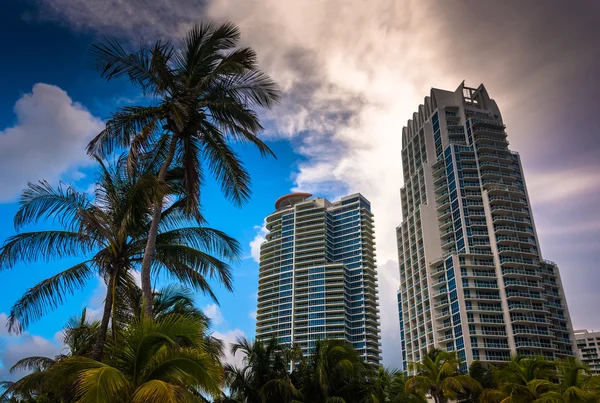 Palmen und Hochhäuser am Südstrand, Miami, Florida. — Stockfoto