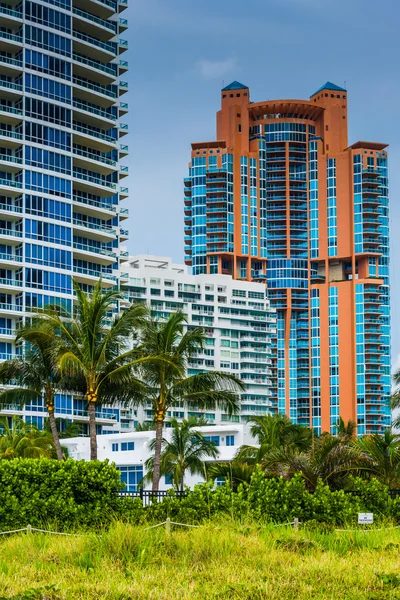 palmiye ağaçları ve south beach, miami, florida, highrises. 
