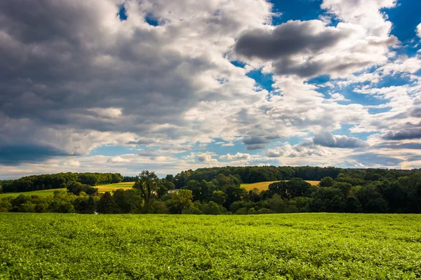 Gedeeltelijk bewolkte hemel over boerderij velden en glooiende heuvels in rural yo — Stockfoto