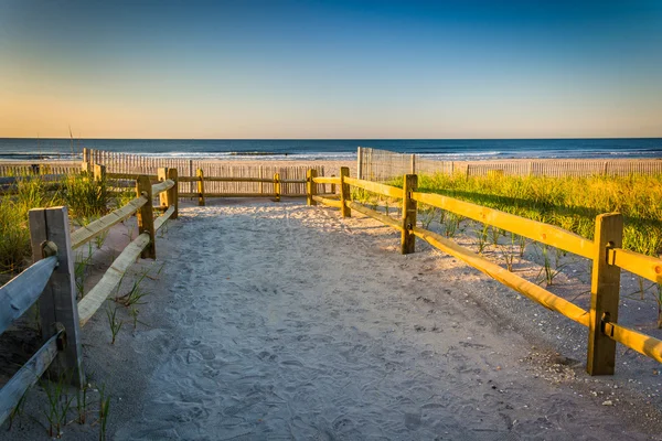 Path over sand dunes to the Atlantic Ocean at sunrise in Ventnor — Stock Photo, Image