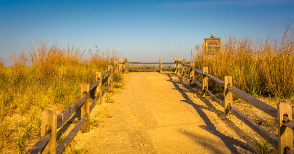 Путь через песчаные дюны к пляжу в Атлантик-Сити, Нью-Джерси . — стоковое фото