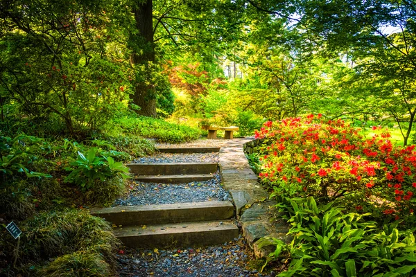 Path through a colorful garden at the National Arboretum in Wash — Stock Photo, Image