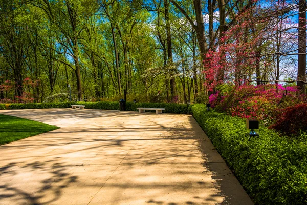 Path through gardens at the Washington DC Mormon Temple in Kensi — Stock Photo, Image