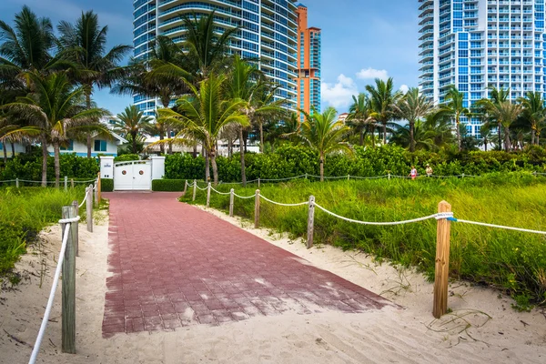 Path to the beach and skyscrapers in Miami Beach, Florida. — Stock Photo, Image