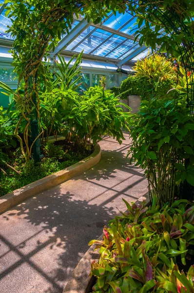 Plants and bushes inside the Howard Peters Rawlings Conservatory — Stock Photo, Image