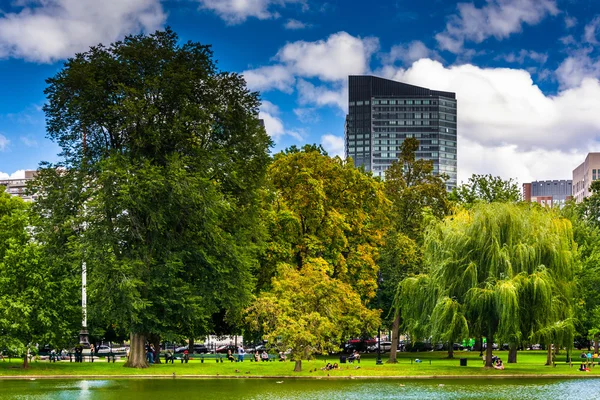 Teich im öffentlichen Garten und Gebäude in Boston, massachusetts — Stockfoto