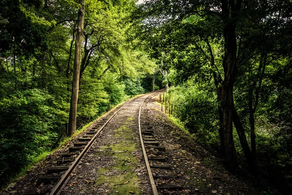 Eisenbahngleise durch einen Wald in der Grafschaft York, Pennsylvania. — Stockfoto