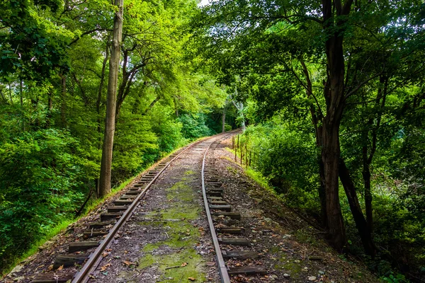 Binari ferroviari attraverso una foresta nella contea di York, Pennsylvania . — Foto Stock