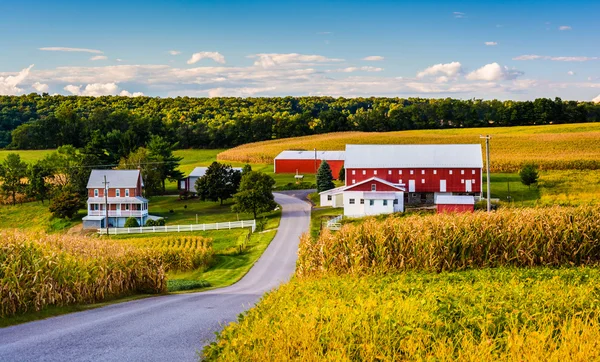 Fienile rosso e casa lungo una strada di campagna vicino a Winterstown, Pennsy — Foto Stock